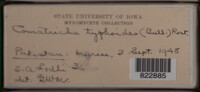 Image Associated With the Occurence